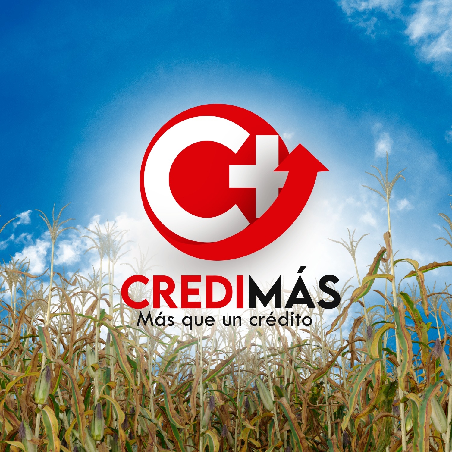 Patrocinador 1